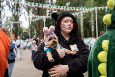 Мода на экстравагантные имена для животных: когда фантазия хозяев переходит границы здравого смысла