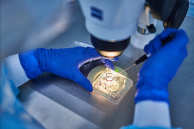 Новый врач-репродуктолог в Госпитале «Мичуринский»: Беленикина Татьяна Сергеевна обещания и реальность