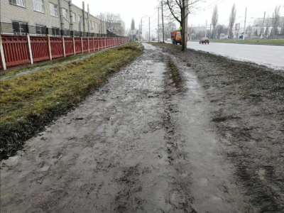 Проблемы с поливом дороги на Ореховом бульваре: Жители недовольны отсутствием реакции властей